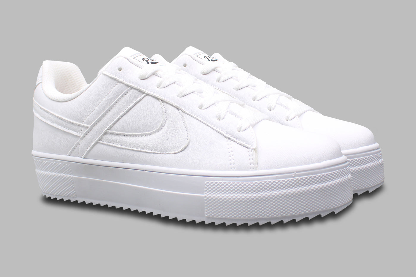 PANAM Lunar Nieve