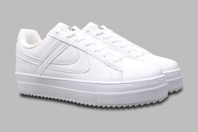 PANAM Lunar Nieve
