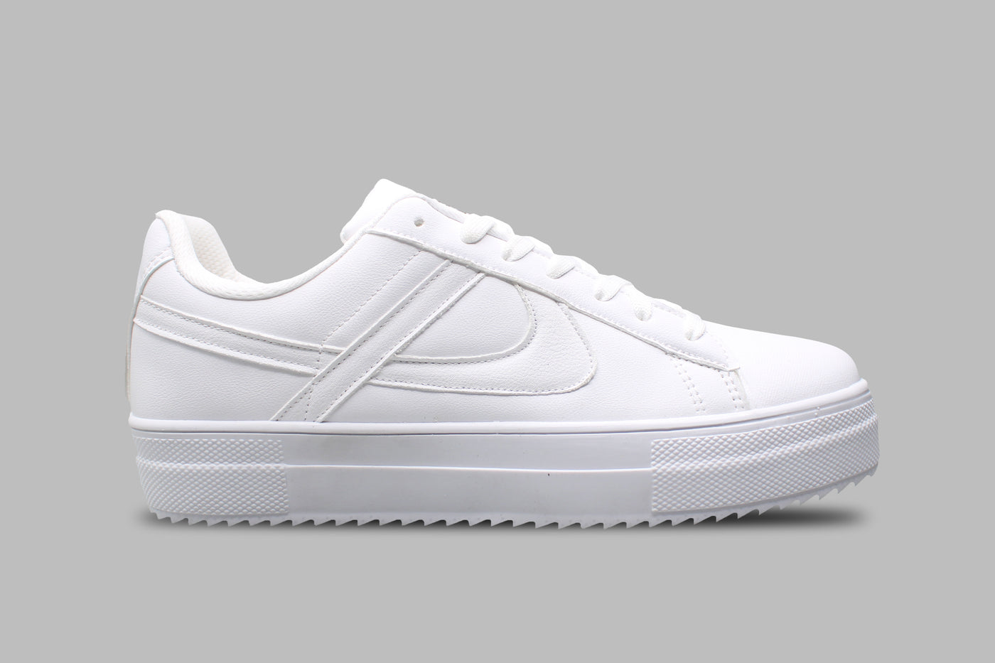 PANAM Lunar Nieve