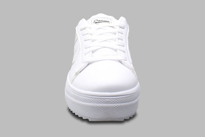 PANAM Lunar Nieve