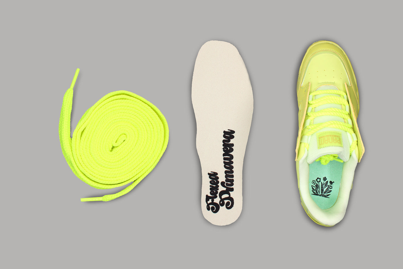 PANAM CDT Volt Flexea Primavera