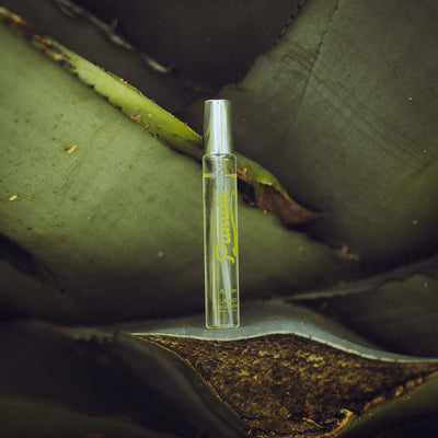 PANAM Perfume Esencia Agave